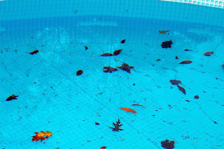 5 Common Pool Problems and How to Fix Them Pool Service Gilbert